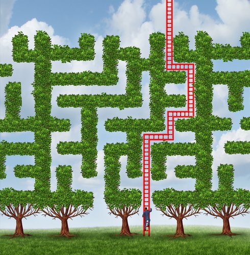 Navigating a hedge maze