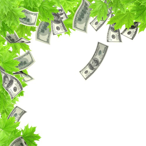 Money tree.jpg
