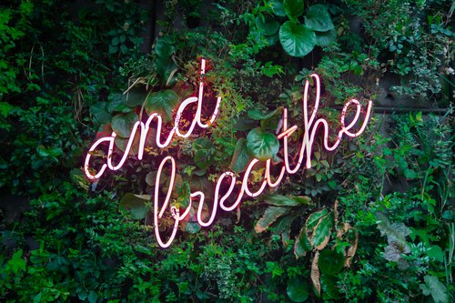 Cursive, neon "and breathe" surrounded by leaves