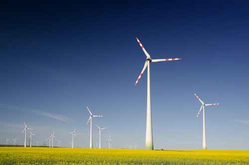 Field of windmills